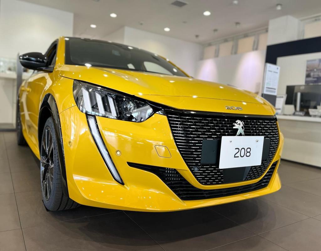展示車のご紹介🚗