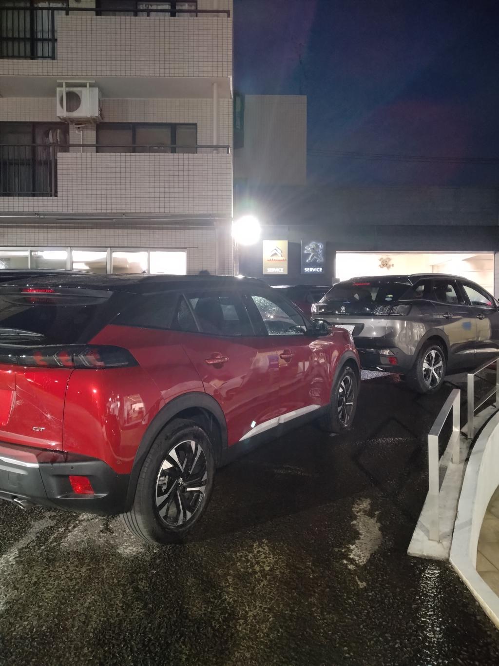 🦁SUMMER　SPECIAL　FAIR🦁開催中