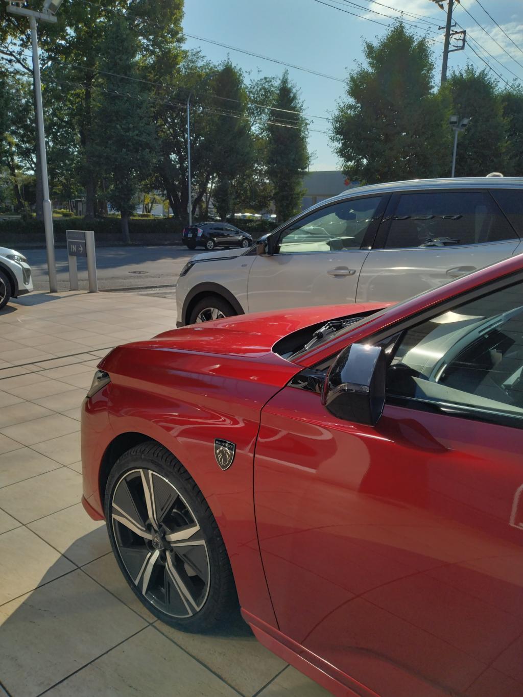 真夏のプジョー横浜青葉🦁