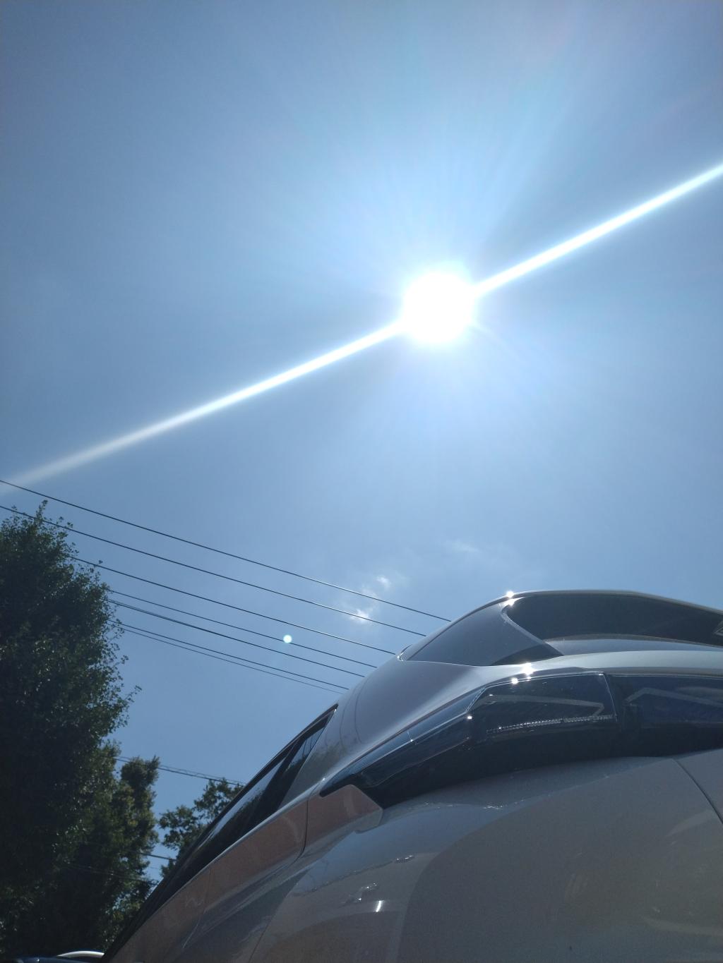 三連休最終日です🦁