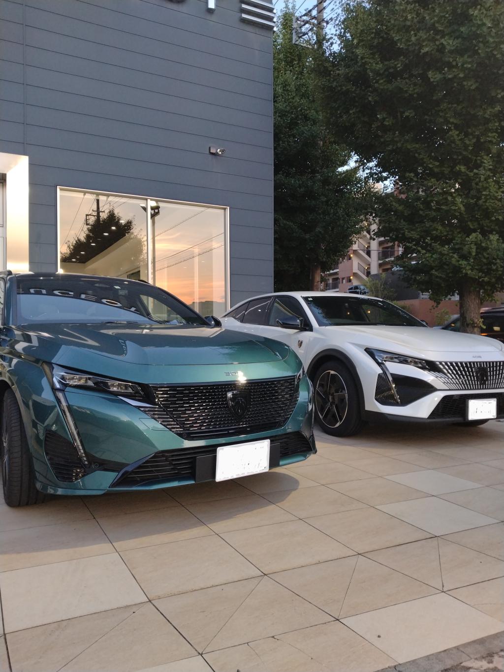 今週末もご来店ありがとうございました🦁