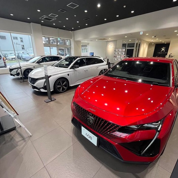 🎃Early Autumn Faire🍁