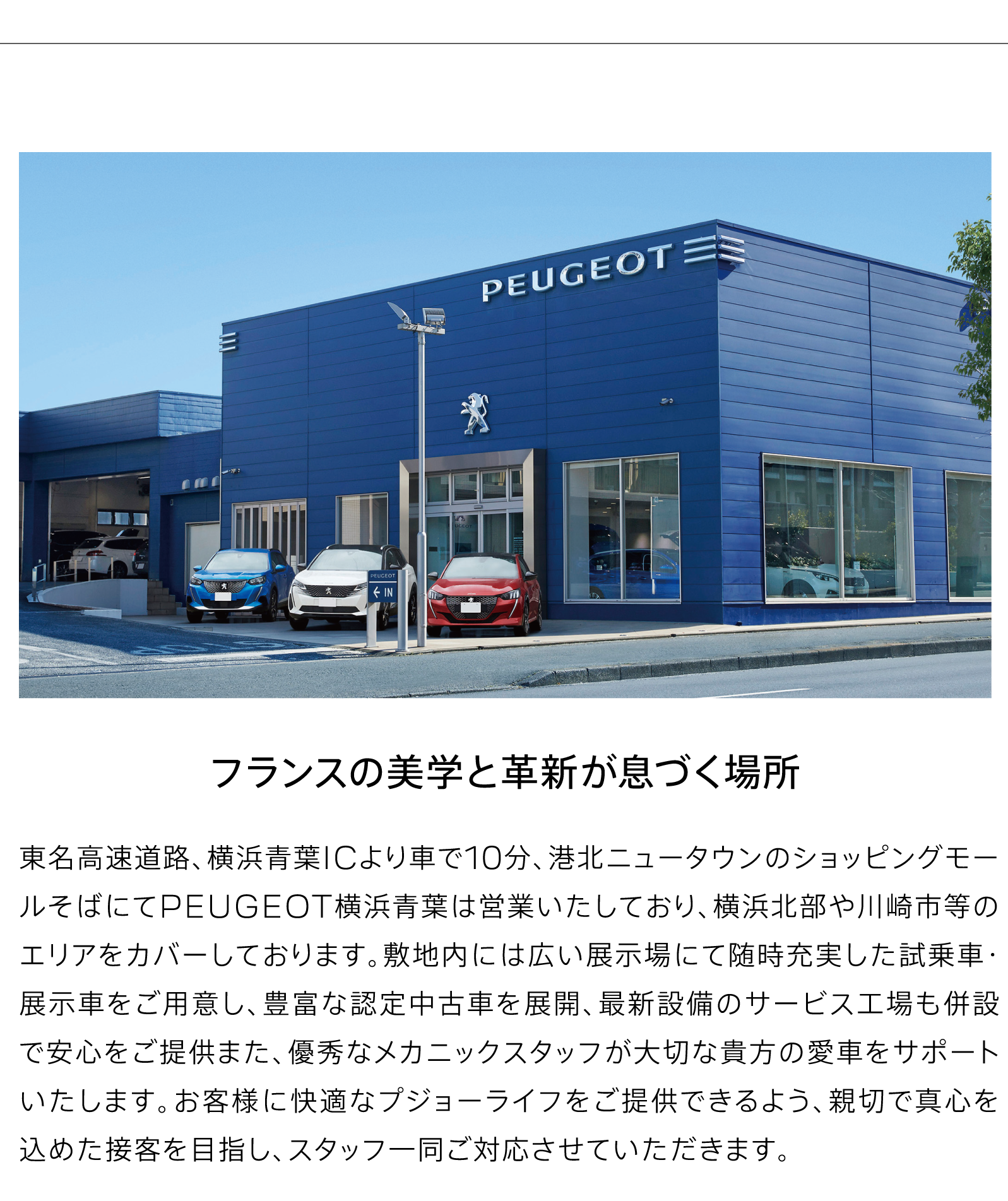 フランスの美学と革新が息づく場所